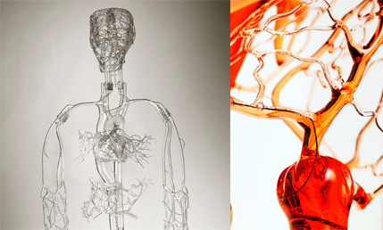 Capa: Atelier cria modelos em vidro perfeitos para medicina